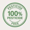 100% free Pestisida Kompres