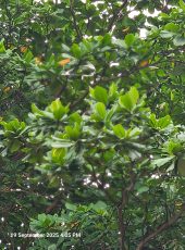 20250919_160520 (1) (1)